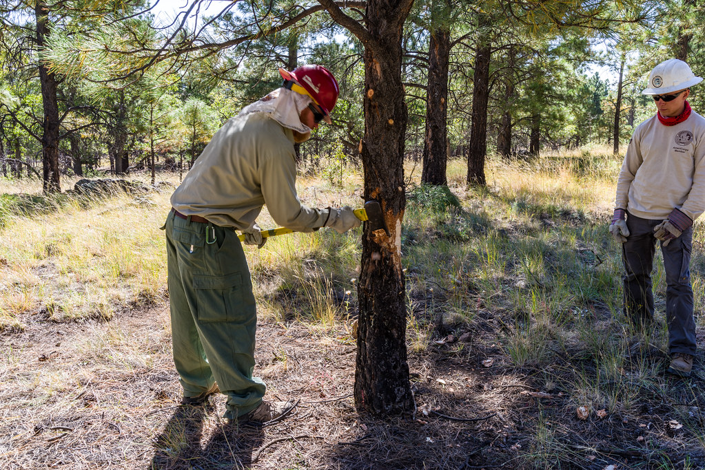 Movimiento de Tierras en Rioja